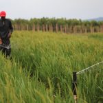 灌漑農業をサハラ以南アフリカで普及するための取り組み【Pick-Up! アフリカ Vol. 141：2021年3月31日配信】